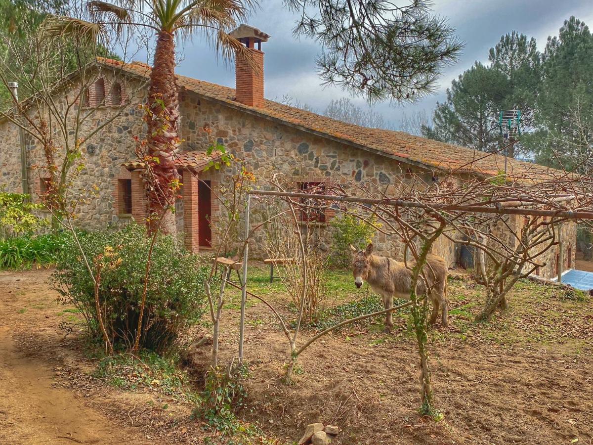 Can Janet masía en el entorno rural del Montseny Arbúcies Exterior foto